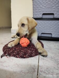 Enzo when small